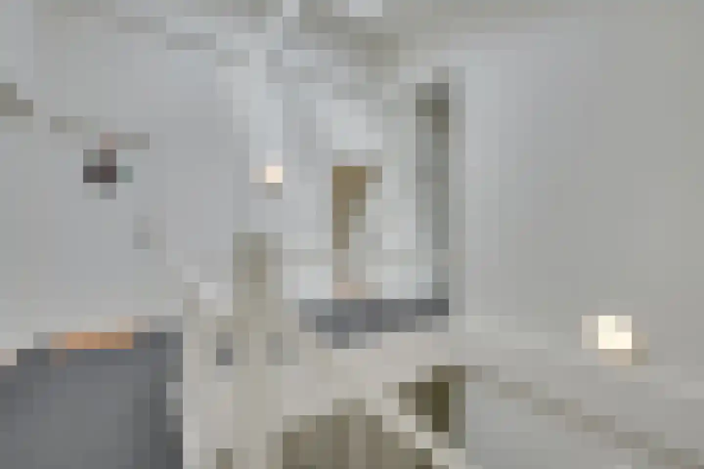 Verdronkenoord 12 L Alkmaar thumbnail 9