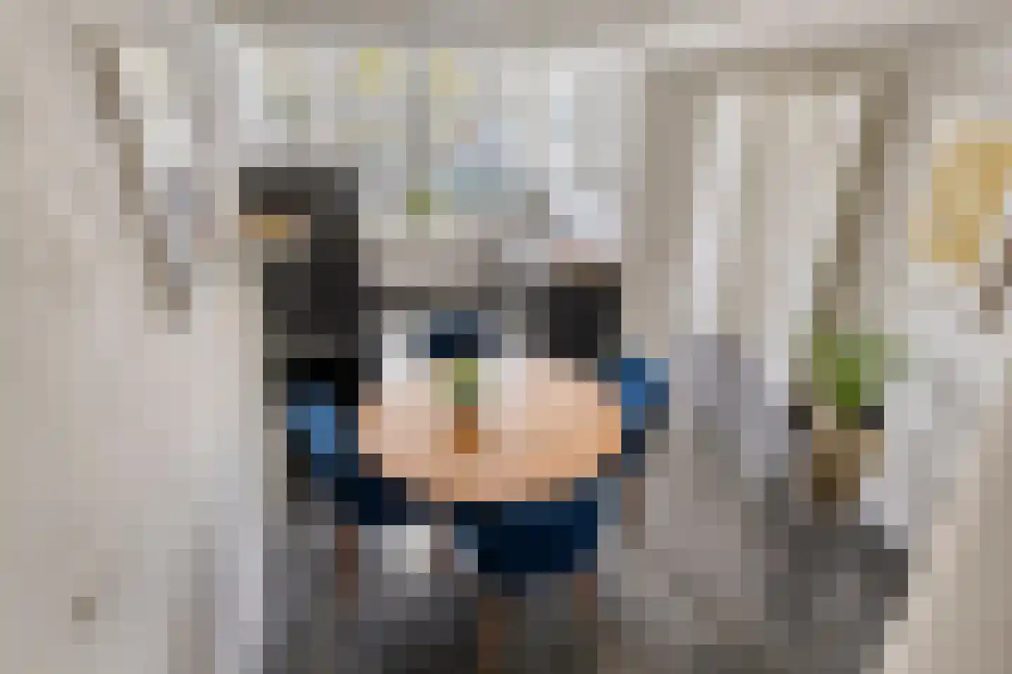 Verdronkenoord 19 Alkmaar thumbnail 17