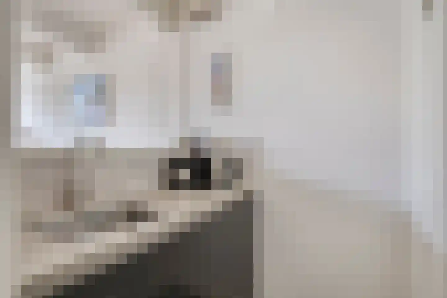 Verdronkenoord 19 Alkmaar thumbnail 21
