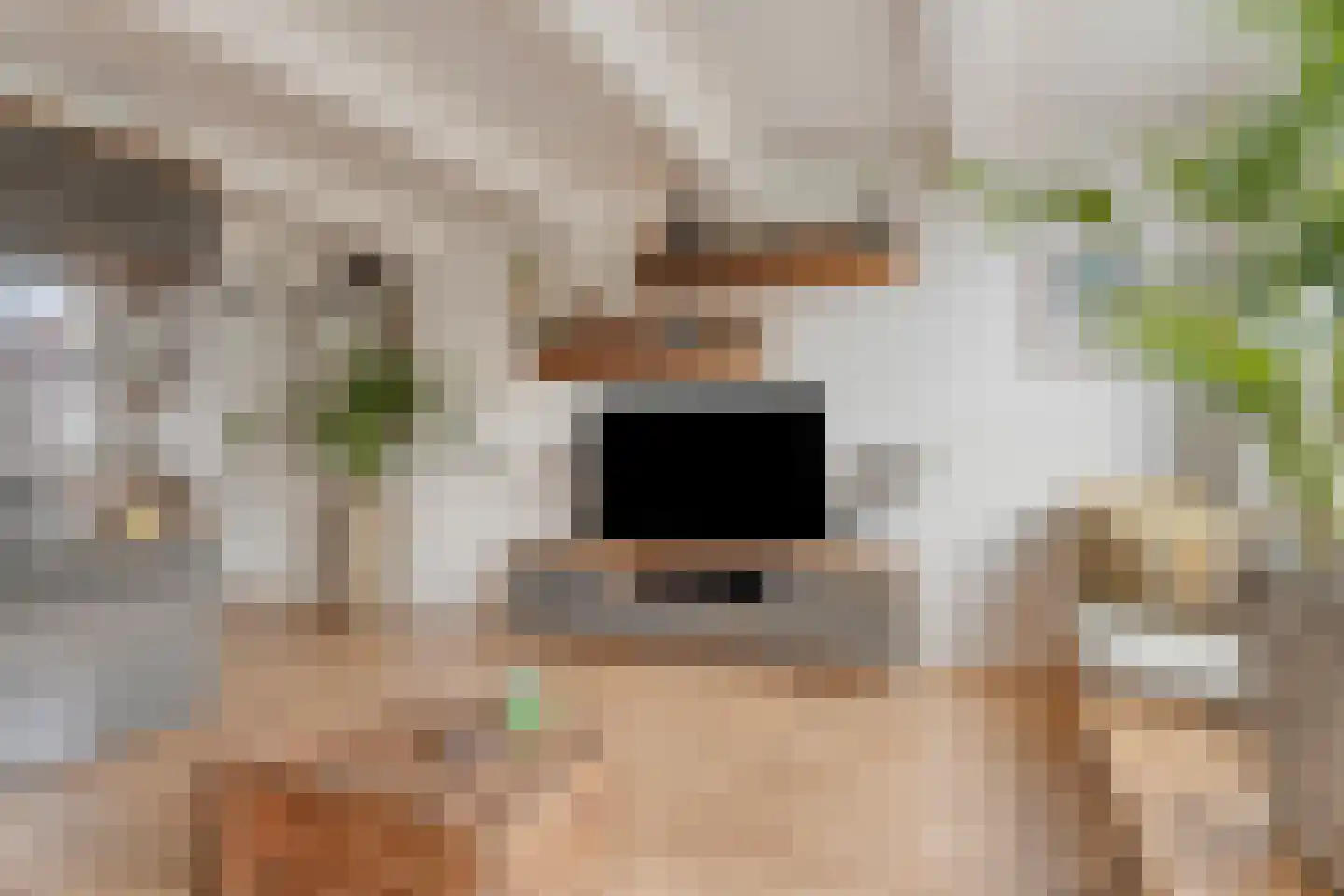 Verdronkenoord 19 Alkmaar thumbnail 22