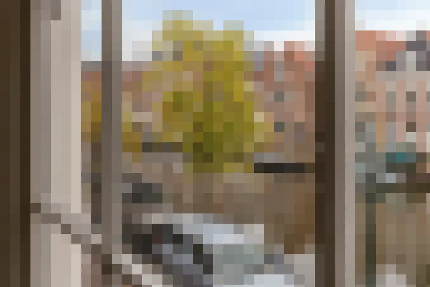 Verdronkenoord 19 Alkmaar thumbnail 25