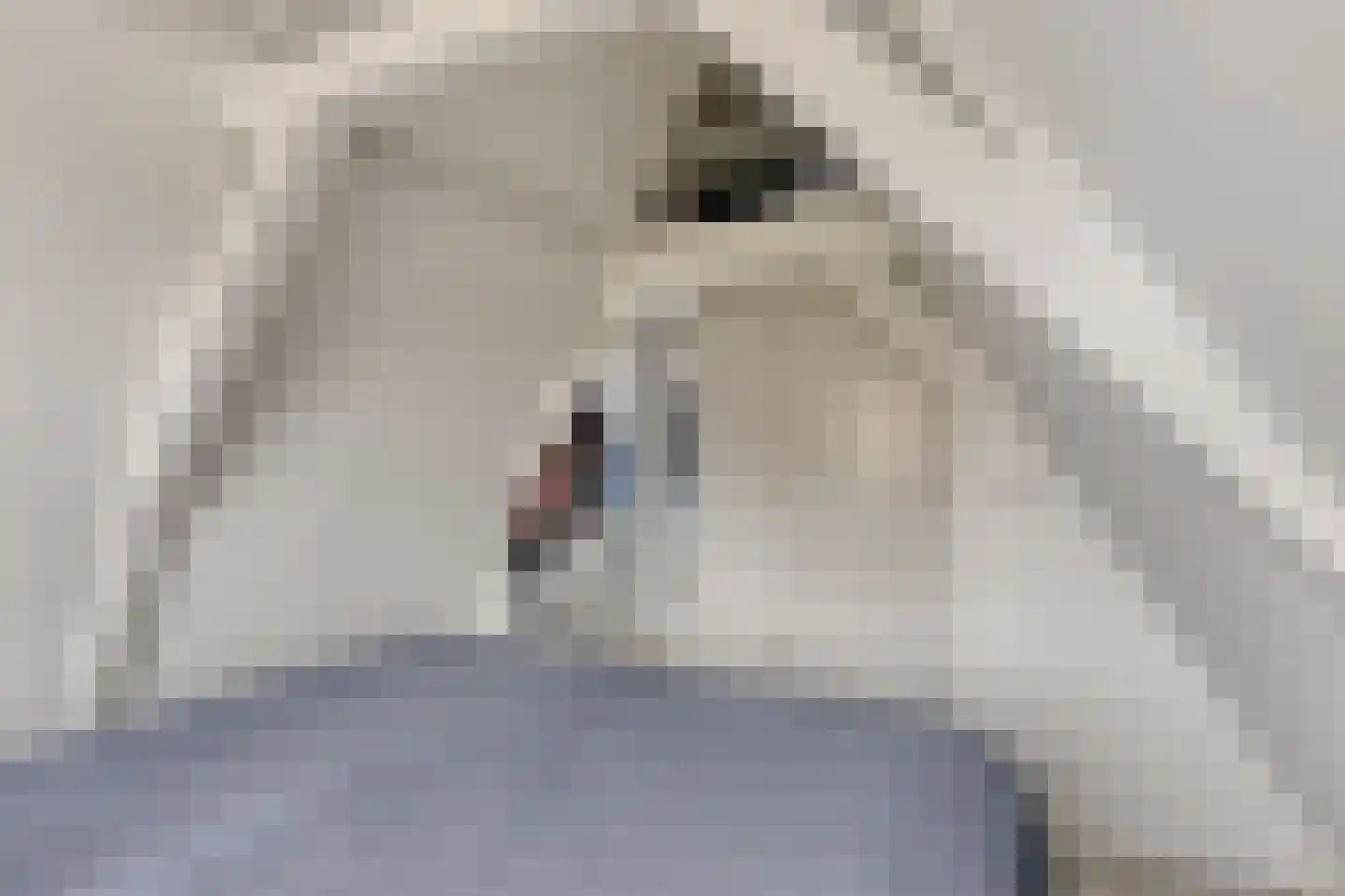 Verdronkenoord 19 Alkmaar thumbnail 30