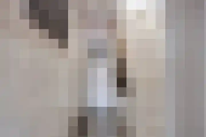 Verdronkenoord 22 Alkmaar thumbnail 10