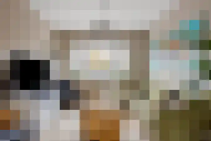 Verdronkenoord 22 Alkmaar thumbnail 12