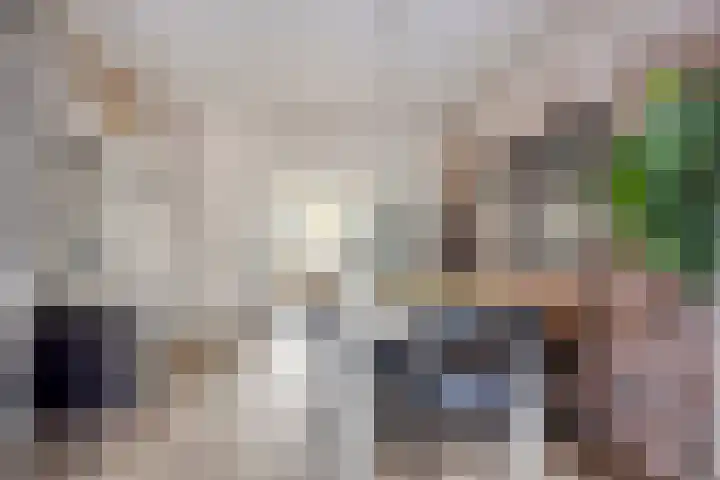 Verdronkenoord 22 Alkmaar thumbnail 15