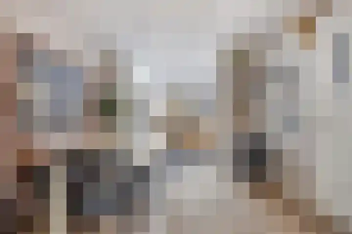 Verdronkenoord 22 Alkmaar thumbnail 16
