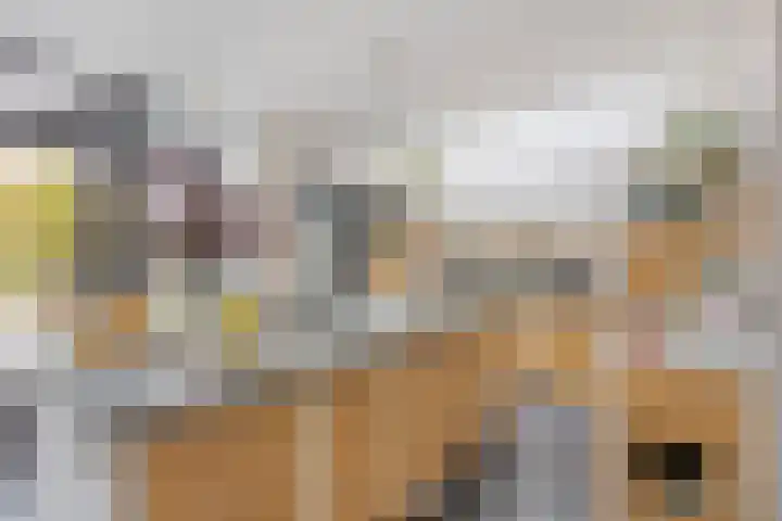 Verdronkenoord 22 Alkmaar thumbnail 20