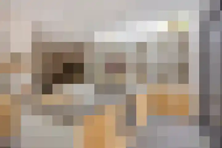 Verdronkenoord 22 Alkmaar thumbnail 21