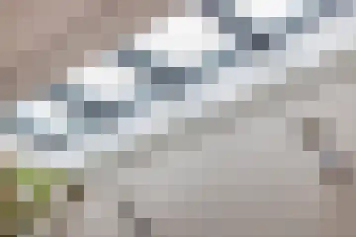 Verdronkenoord 22 Alkmaar thumbnail 26