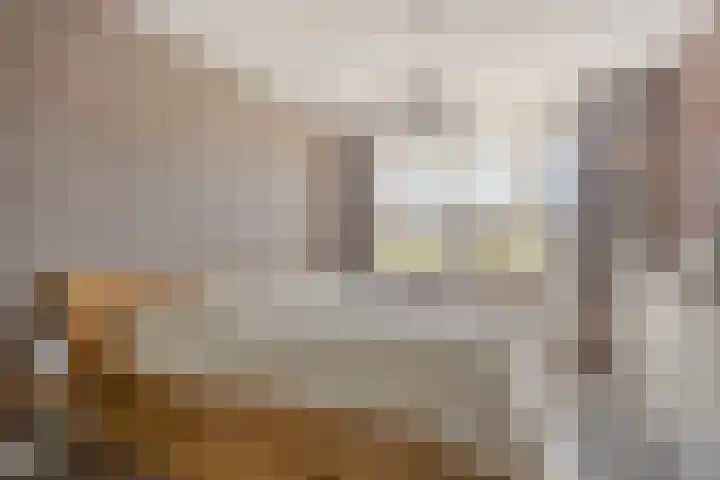 Verdronkenoord 22 Alkmaar thumbnail 29