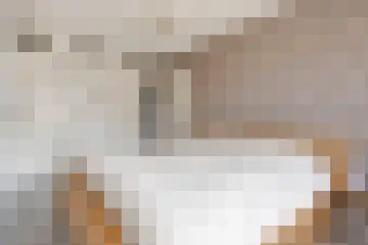 Verdronkenoord 22 Alkmaar thumbnail 30