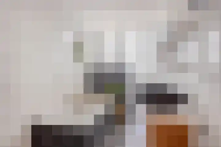 Verdronkenoord 22 Alkmaar thumbnail 33