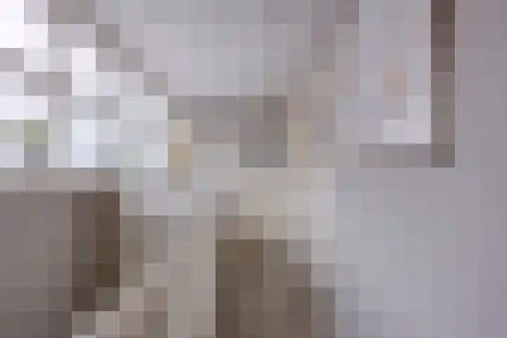 Verdronkenoord 22 Alkmaar thumbnail 41