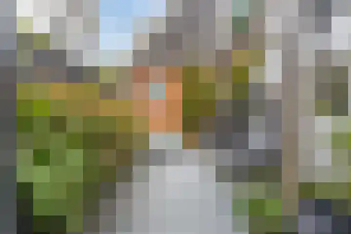 Verdronkenoord 22 Alkmaar thumbnail 49
