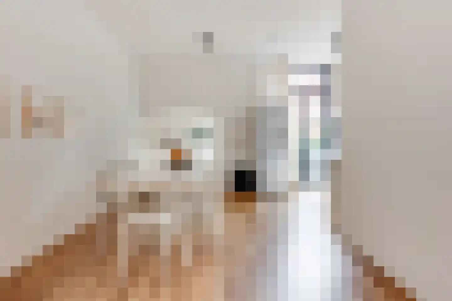 Verdronkenoord 55 Alkmaar thumbnail 12