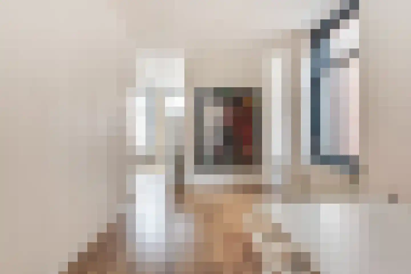 Verdronkenoord 55 Alkmaar thumbnail 14