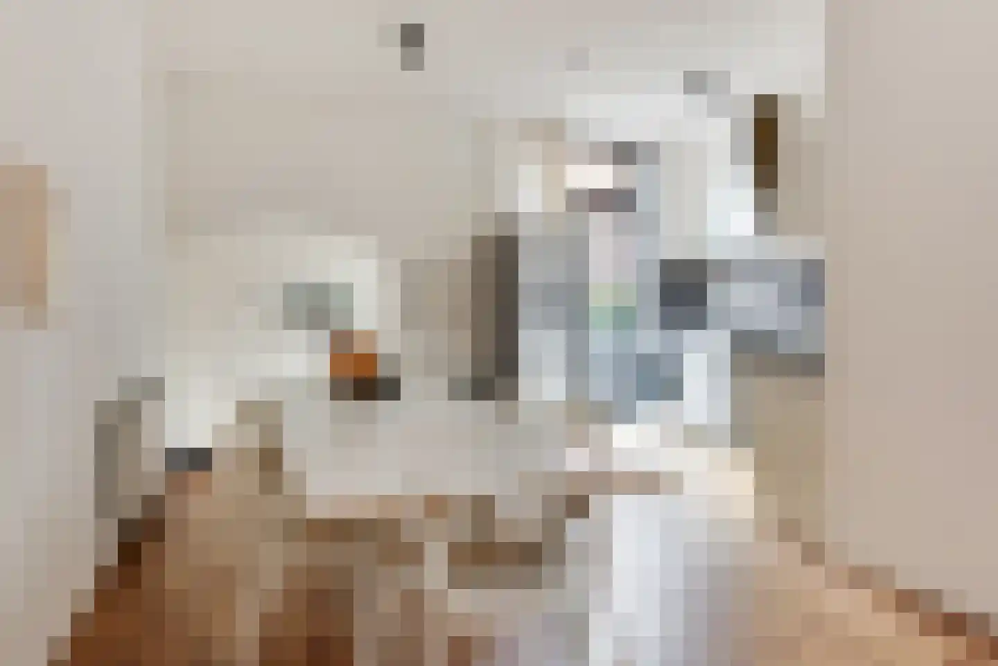 Verdronkenoord 55 Alkmaar thumbnail 15