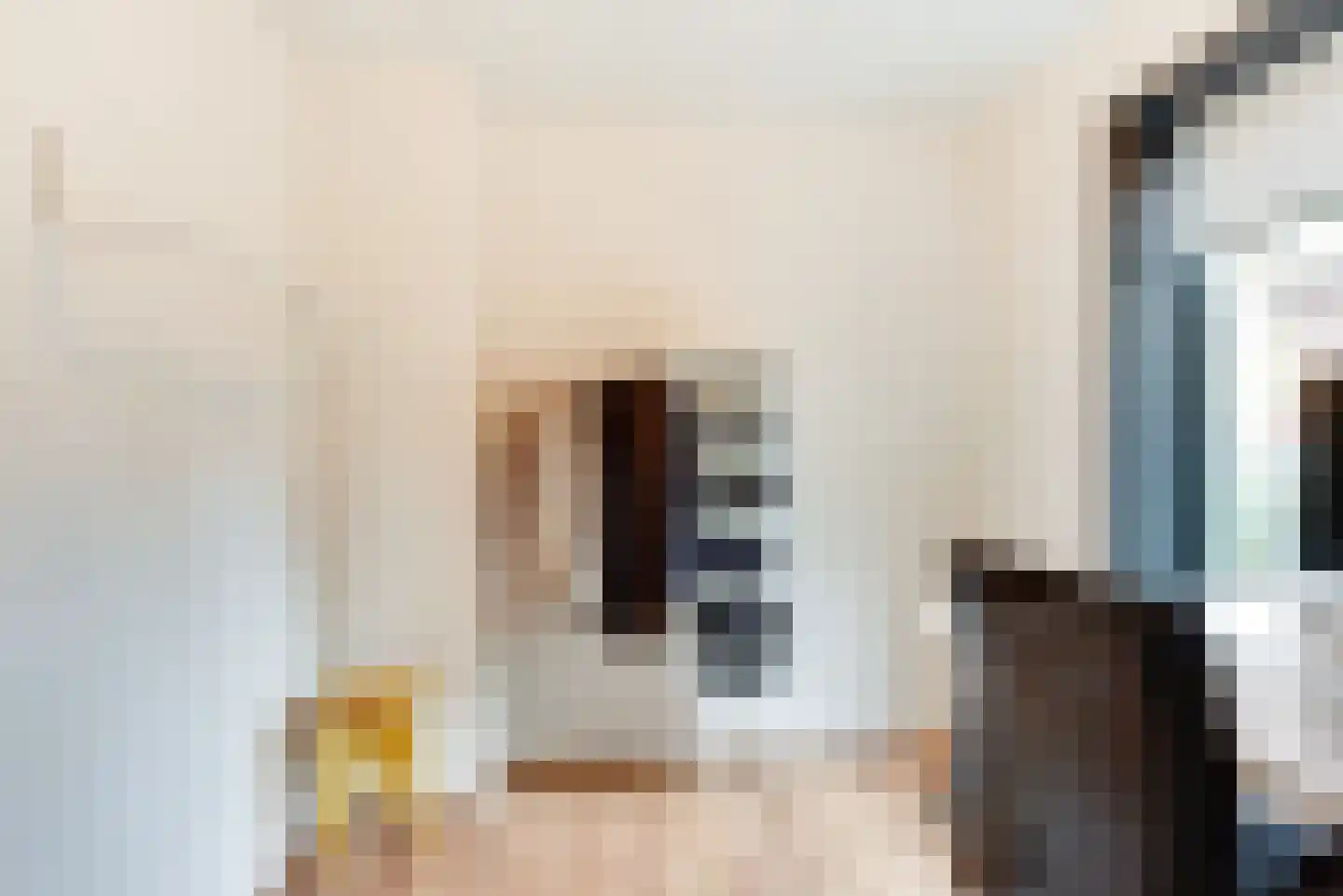 Verdronkenoord 55 Alkmaar thumbnail 19