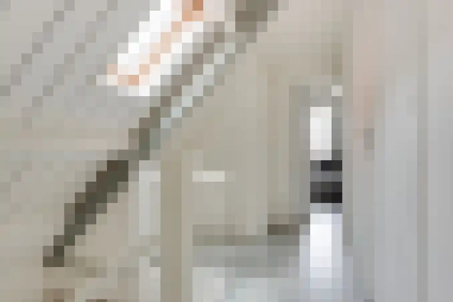Verdronkenoord 55 Alkmaar thumbnail 23