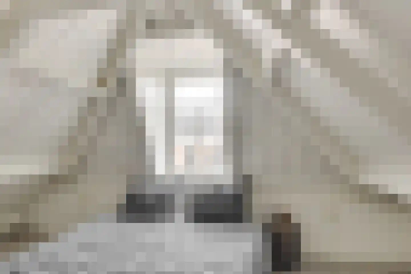 Verdronkenoord 55 Alkmaar thumbnail 25