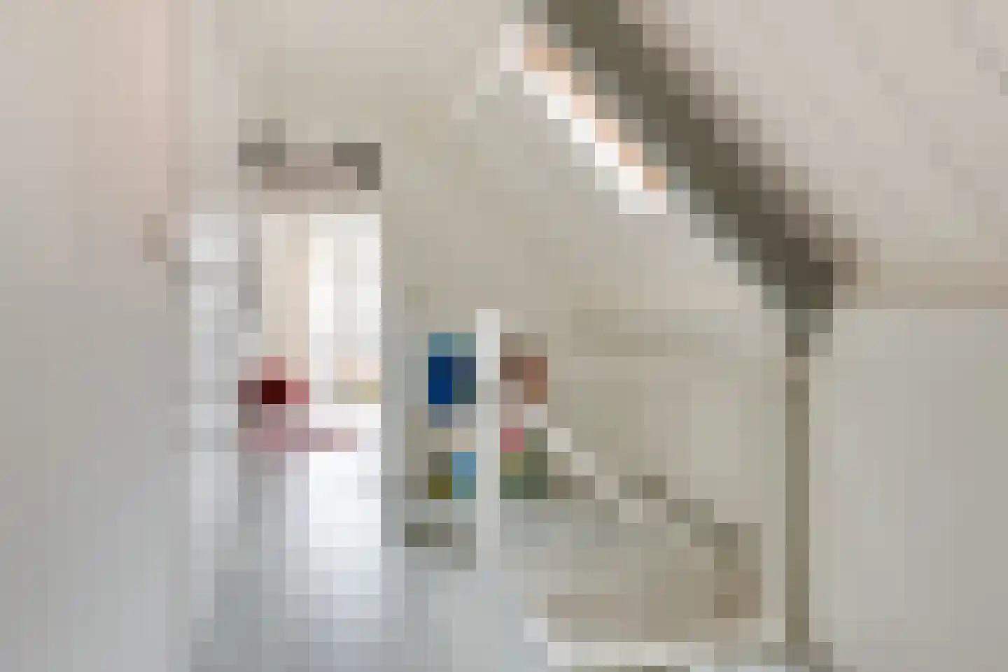 Verdronkenoord 55 Alkmaar thumbnail 27