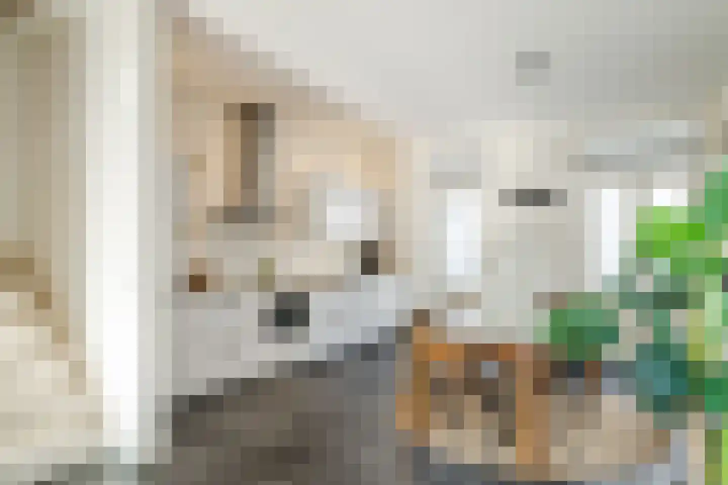 Verdronkenoord 56 Alkmaar thumbnail 14