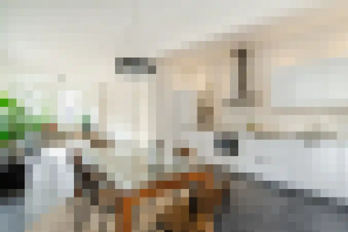Verdronkenoord 56 Alkmaar thumbnail 16