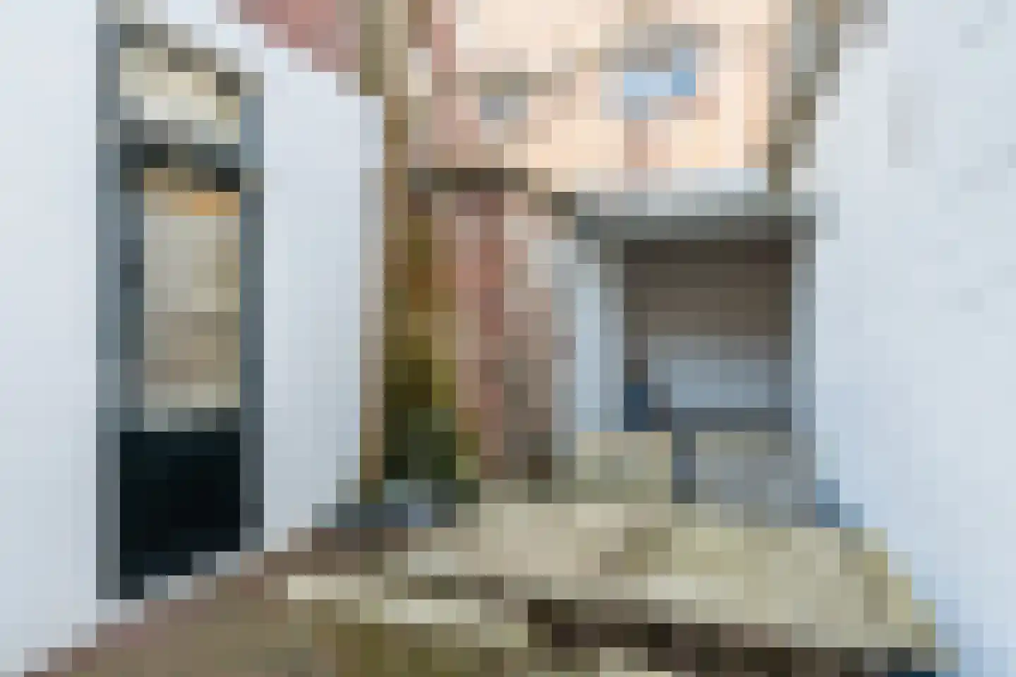 Verdronkenoord 56 Alkmaar thumbnail 35