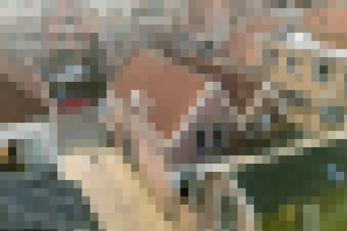 Verdronkenoord 56 Alkmaar thumbnail 41