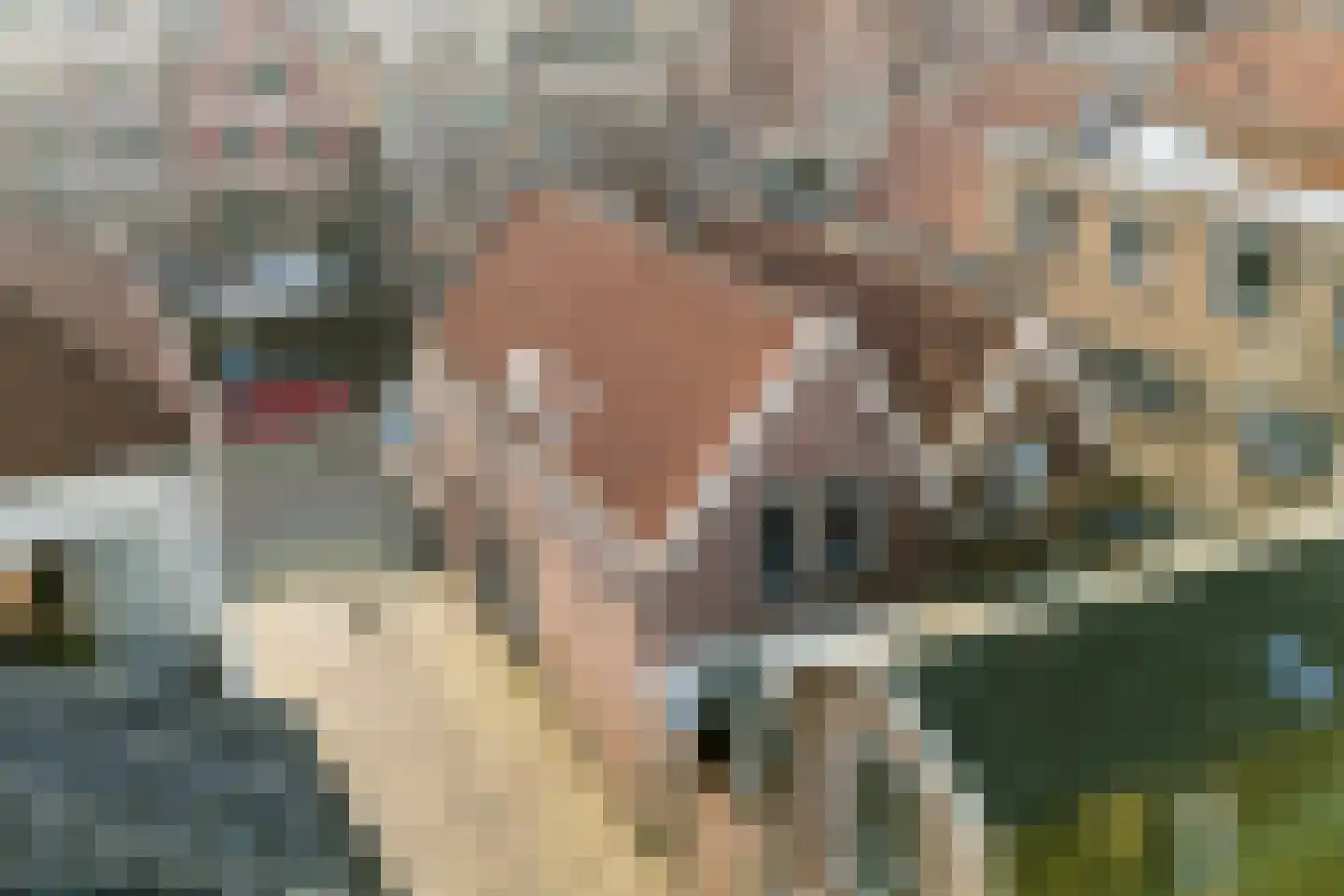 Verdronkenoord 56 Alkmaar thumbnail 42