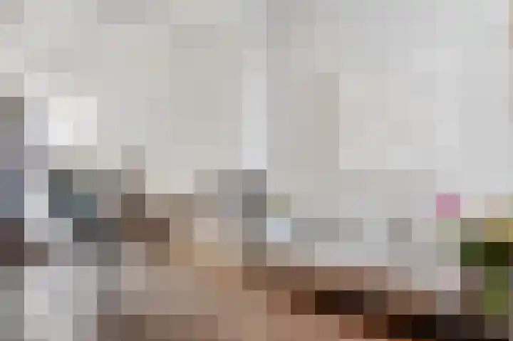 Verdronkenoord 8 Alkmaar thumbnail 14