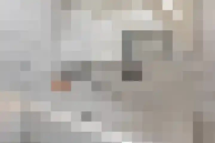 Verdronkenoord 8 Alkmaar thumbnail 36