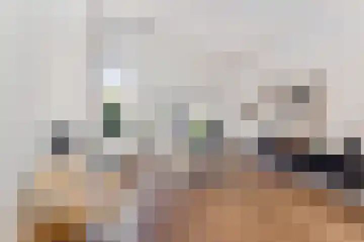 Verdronkenoord 8 Alkmaar thumbnail 4