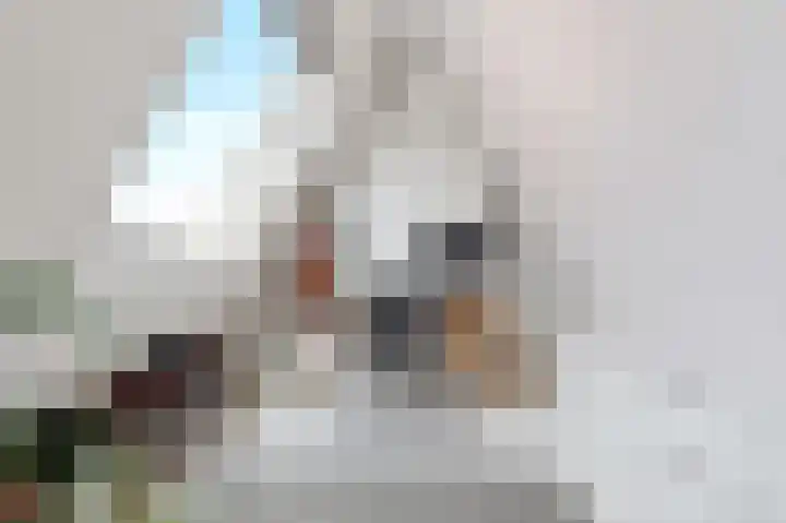 Verdronkenoord 8 Alkmaar thumbnail 41