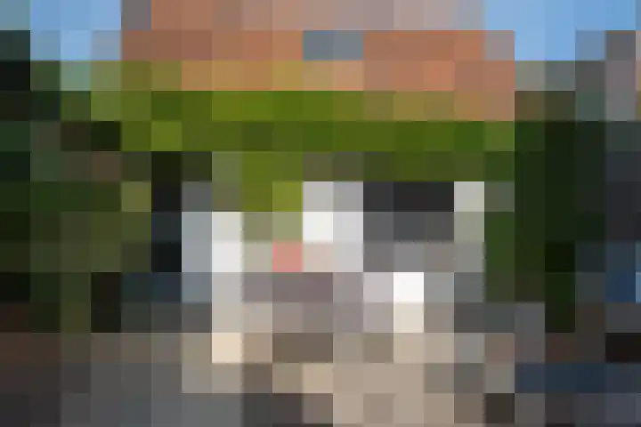 Verdronkenoord 8 Alkmaar thumbnail 44