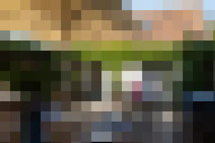 Verdronkenoord 8 Alkmaar thumbnail 45