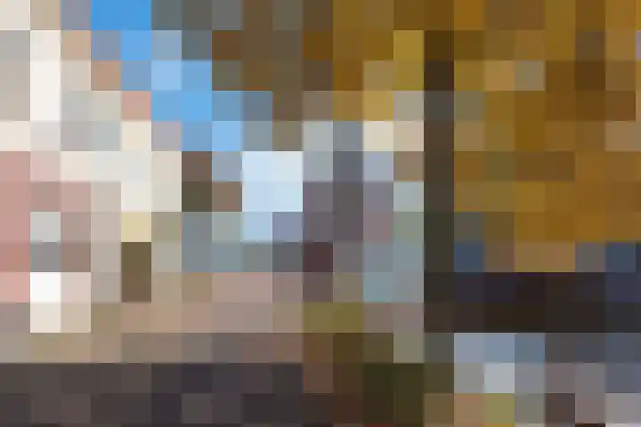 Verdronkenoord 8 Alkmaar thumbnail 56