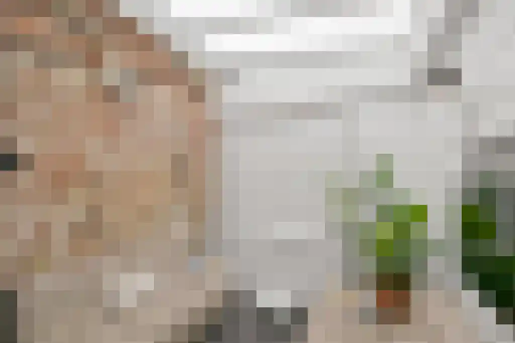 Verdronkenoord 85 Alkmaar thumbnail 12