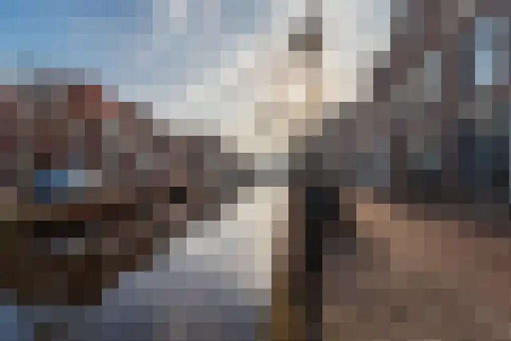 Verdronkenoord 85 Alkmaar thumbnail 34