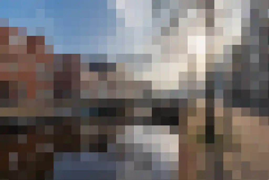 Verdronkenoord 85 Alkmaar thumbnail 35