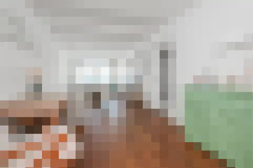 Verdronkenoord 85 Alkmaar thumbnail 7