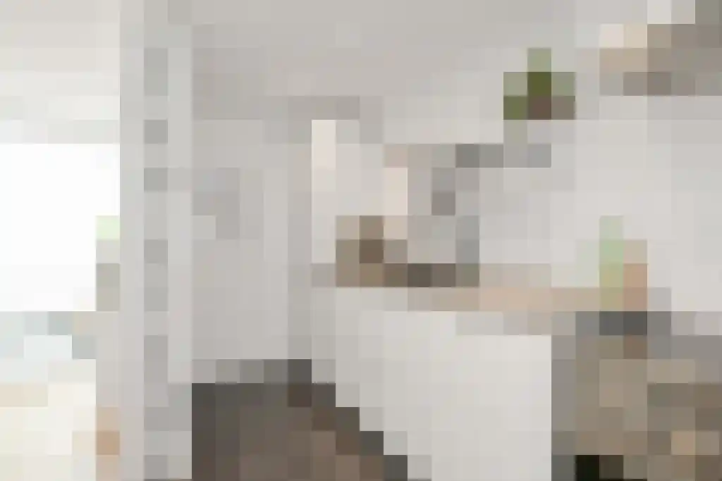 Verdronkenoord 85 Alkmaar thumbnail 9