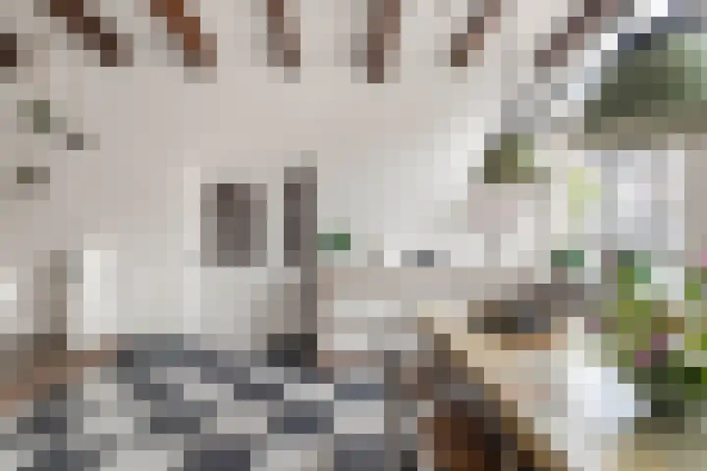 Verdronkenoord 93 Alkmaar thumbnail 13