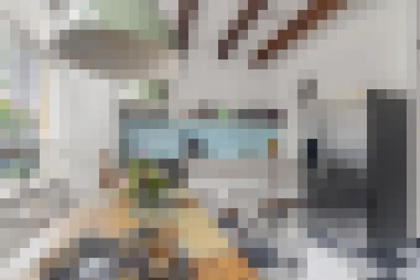 Verdronkenoord 93 Alkmaar thumbnail 15