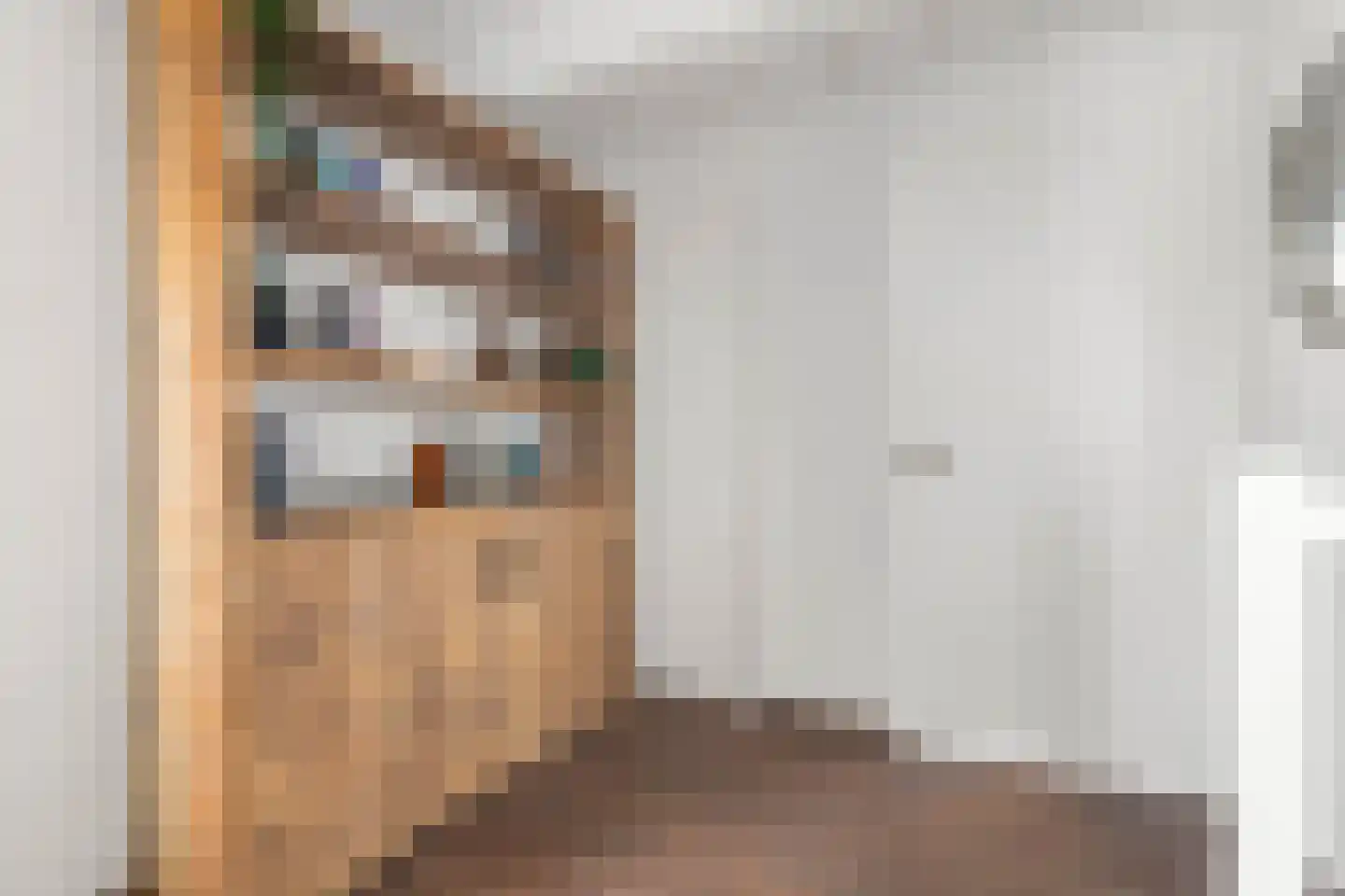 Verdronkenoord 93 Alkmaar thumbnail 23