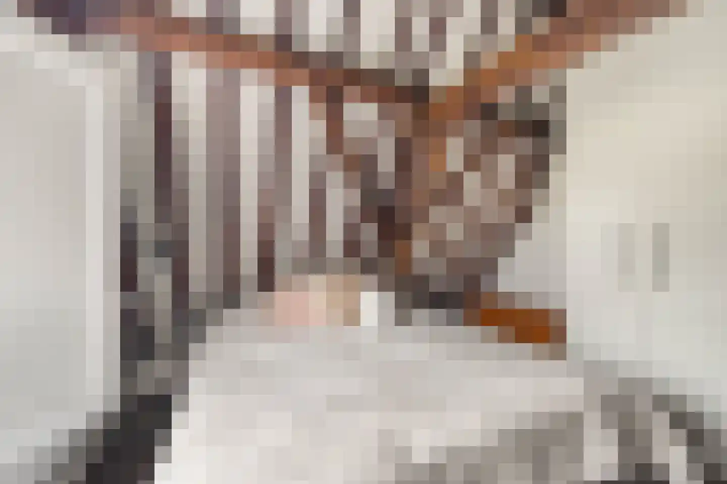 Verdronkenoord 93 Alkmaar thumbnail 36