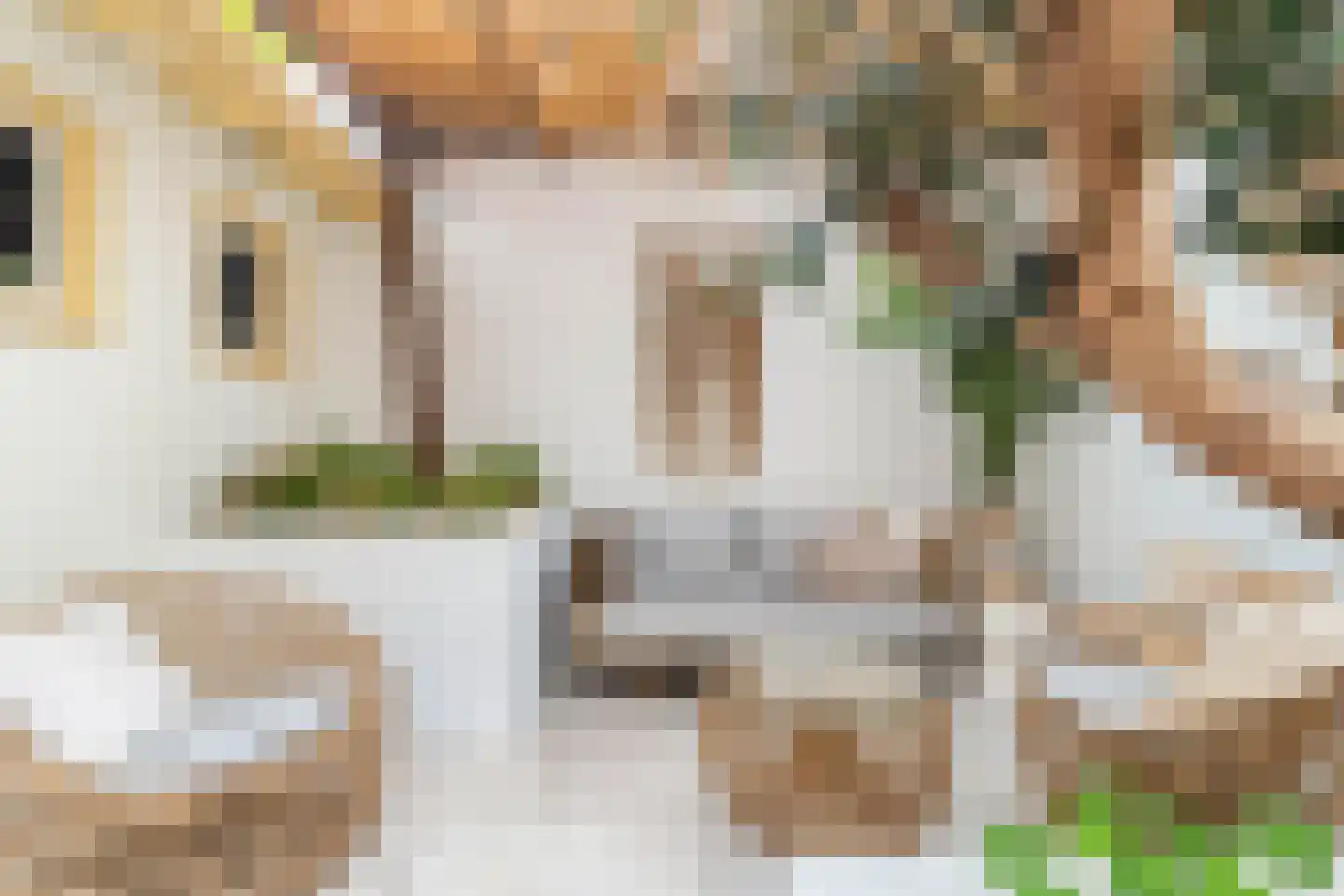 Verdronkenoord 93 Alkmaar thumbnail 45