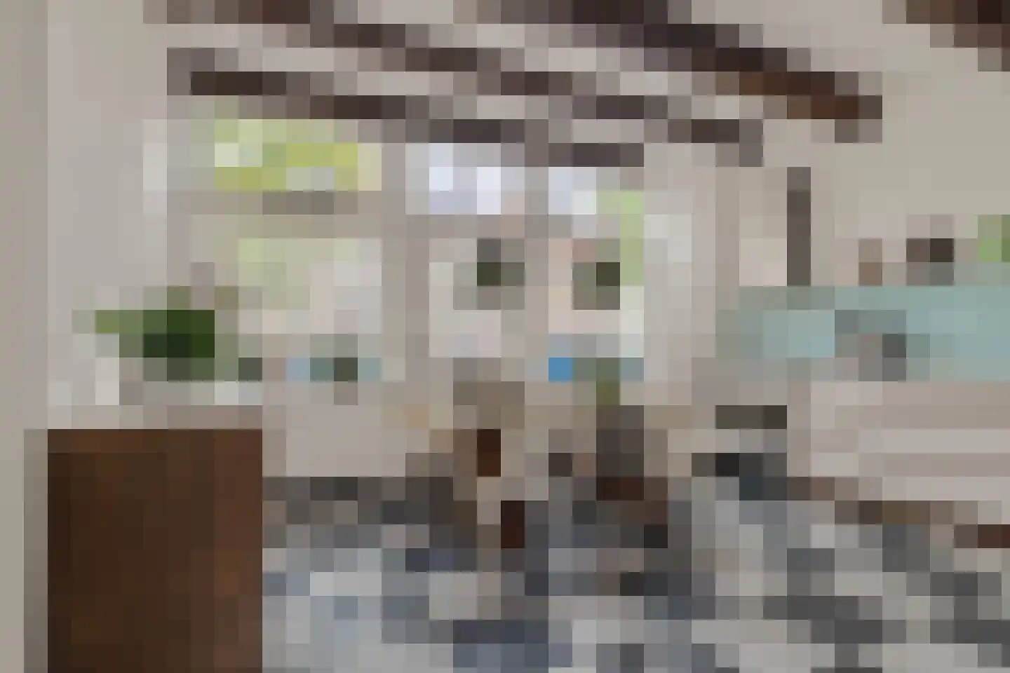 Verdronkenoord 93 Alkmaar thumbnail 9