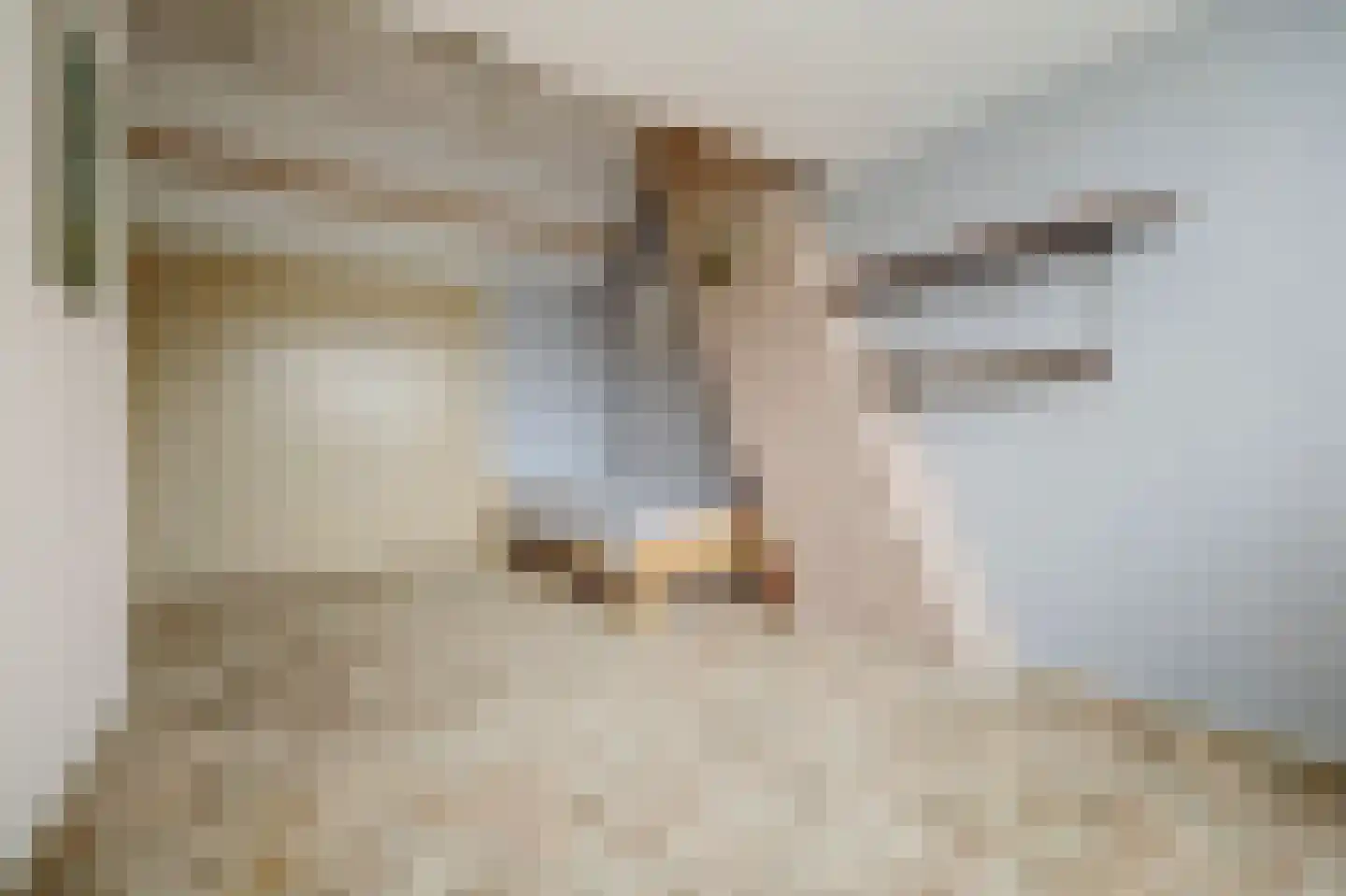 Verduinstraat 12 Vianen thumbnail 32