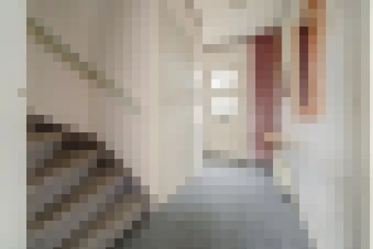 Verduinstraat 12 Vianen thumbnail 5